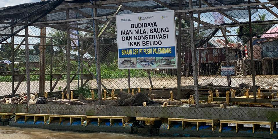 Pengembangan Pertanian 1